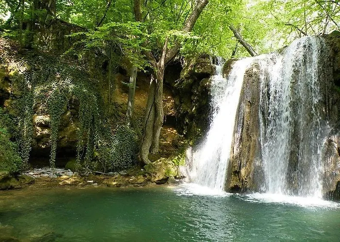 Todor * Кладово